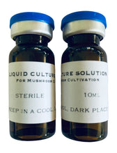 Load image into Gallery viewer, Liquid Culture Kit for Mushroom Cultivation- Turn Your Spores Into Liquid Culture
