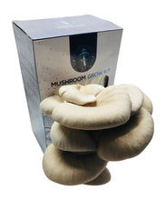 Load image into Gallery viewer, Grey Oyster Mushroom Grow Kit