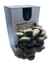 Load image into Gallery viewer, Grey Oyster Mushroom Grow Kit