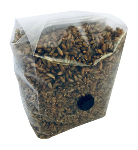 Sterilized and Vacuum Sealed Organic Rye Berry Grain Bag with Injection Port- 3lbs (2 Bags Each 1.5lb)