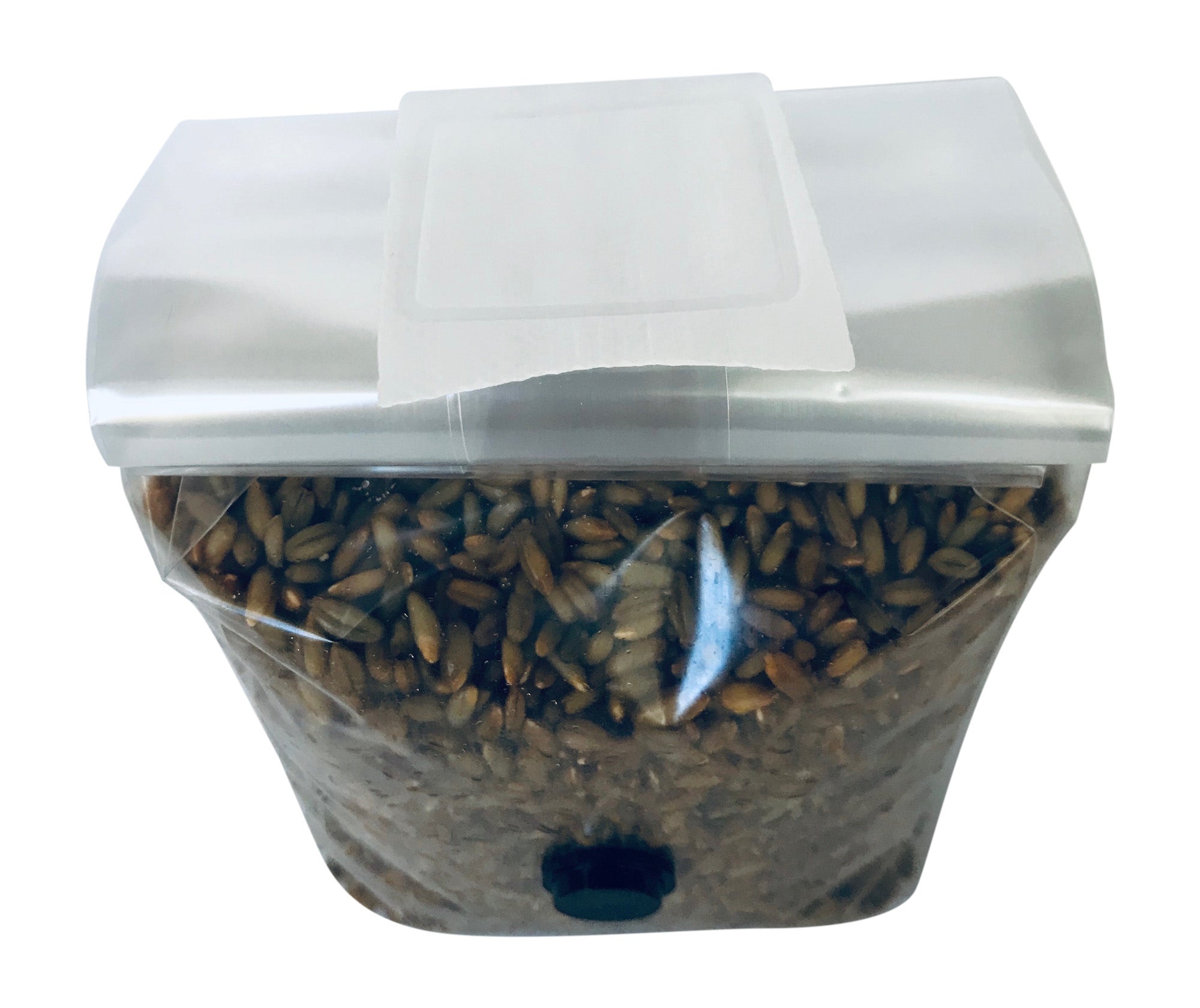 Filter Spawn Bag - Large » Gourmet Woodland Mushrooms