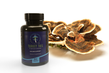 Load image into Gallery viewer, Organic Turkey Tail Mushroom Extract Capsules - Immune System Support - 60 Capsules